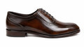 Premium Dark Brown Leather Brogue Oxford Shoes for Men – Handmade Genuine Leather | TLS